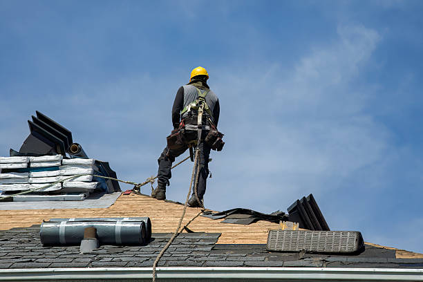Professional Roofing technician working in Friesland, WI